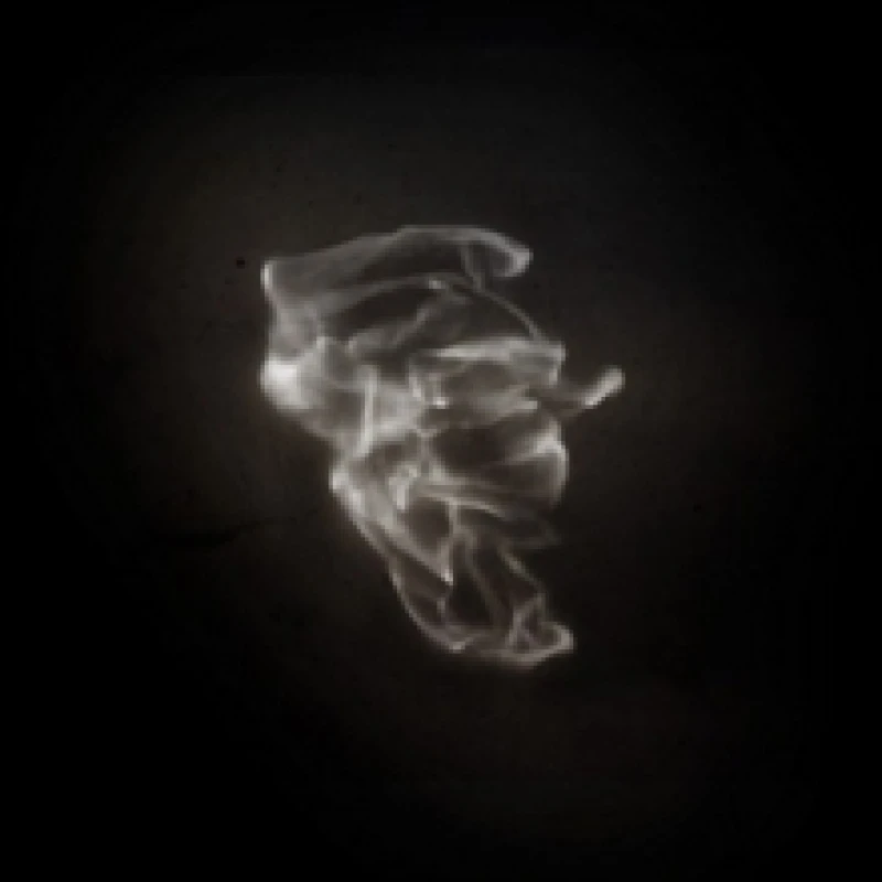 Image of The Little Match Girl Vinyl