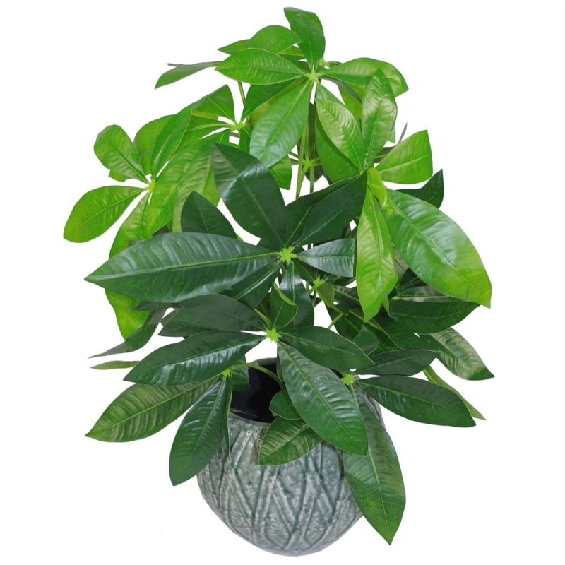 Image of Leaf 50cm Artificial Money Tree Plant Green unisex