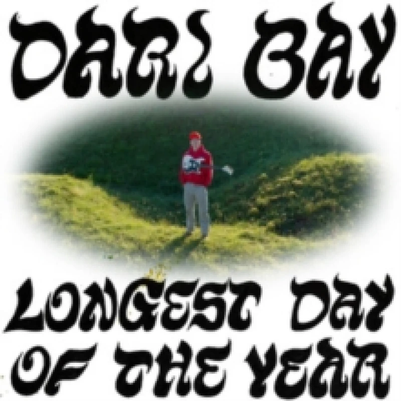 Image of Longest Day of the Year Vinyl