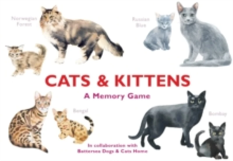 Image of Cats & Kittens : A Memory Game Cards