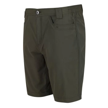 Image of Regatta Delgado Shorts - Green