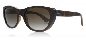 Image of Ray-Ban RB4227 Sunglasses Tortoise 710/T5 Polariserade 55mm