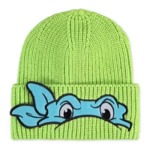Image of Teenage Ninja Mutant Turtles Leonardo Children'S Novelty Turn-Up Beanie, Green (Kc063238Tnt)