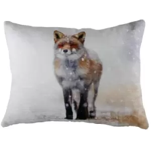 Image of Evans Lichfield Fox Winter Cushion Cover (One Size) (Multicoloured)
