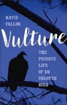 Image of Vulture by Katie Fallon Hardback