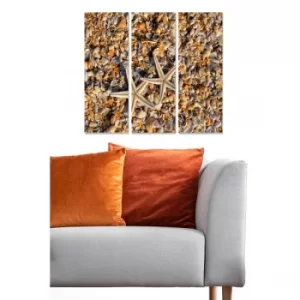 Image of MDF1572797 Multicolor Decorative MDF Painting (3 Pieces)