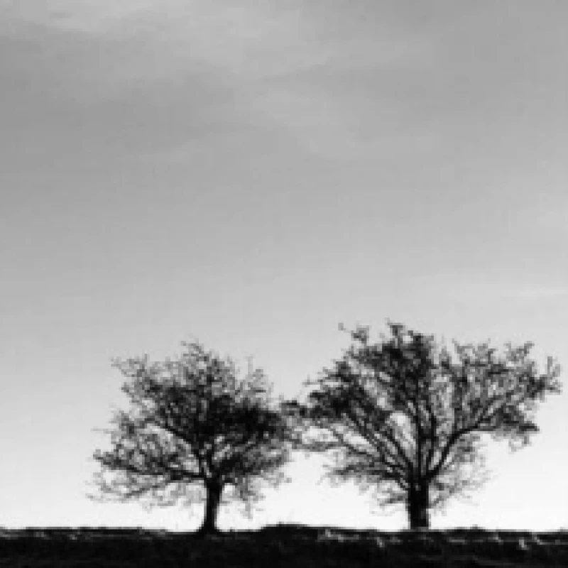 Image of Jon Allen - A Heightened Sense of Everything [CD / Album] Music CDs - Music CD