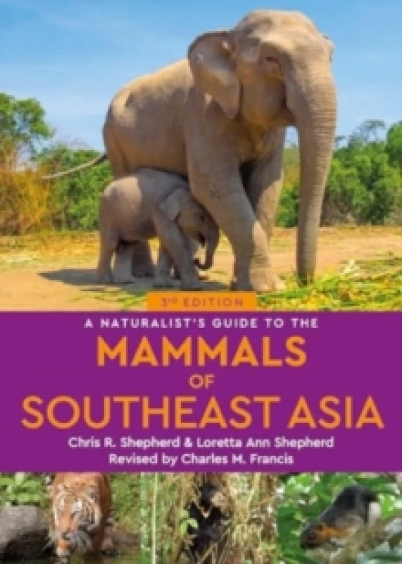 Image of A Naturalist's Guide to the Mammals of Southeast Asia Paperback / softback