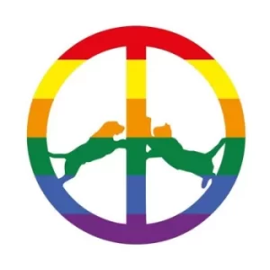 Image of Rainbow Edition by Hype Williams Vinyl Album