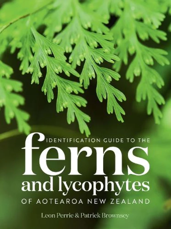 Image of Identification Guide to the Ferns and Lycophytes of Aotearoa NZ Paperback / softback