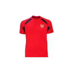 Image of Arsenal FC Boys Panel T-Shirt (S) (Red/Black)