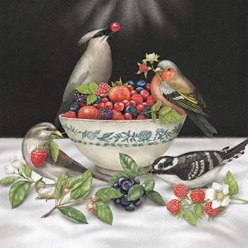 Image of Sparrows - Berries Vinyl