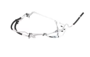 Image of RIDEX Hydraulic Hose, steering system FORD 677H0019 1488112,1743276,4M513A212CE