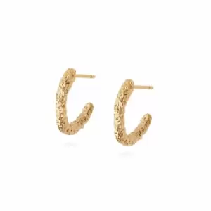 Image of Daisy London Jewellery 18ct Gold Plated Sterling Silver Isla Coral Midi Hoop Earrings 18Ct Gold Plate