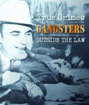 Image of Gangsters Outside the Law by Michael Newton Book