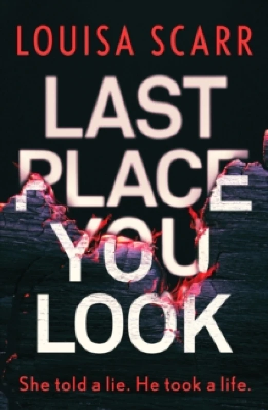 Image of Last Place You Look : A gripping police procedural crime thriller Paperback / softback