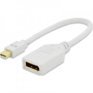 Image of ednet DisplayPort Adapter [1x Mini DisplayPort plug - 1x DisplayPort socket] White gold plated connectors 15.00 cm