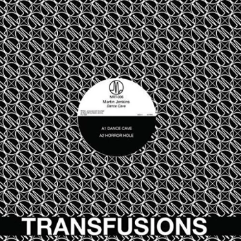 Image of Martin Jenkins - Dance Cave Vinyl