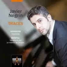 Image of Javier Negrin: Traces