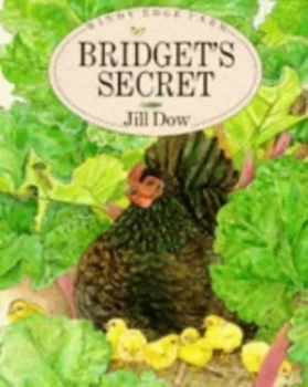 Image of Bridgets Secret by Jill Dow Book