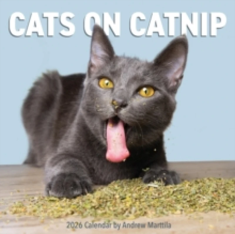 Image of Cats on Catnip Wall Calendar 2026 Calendar