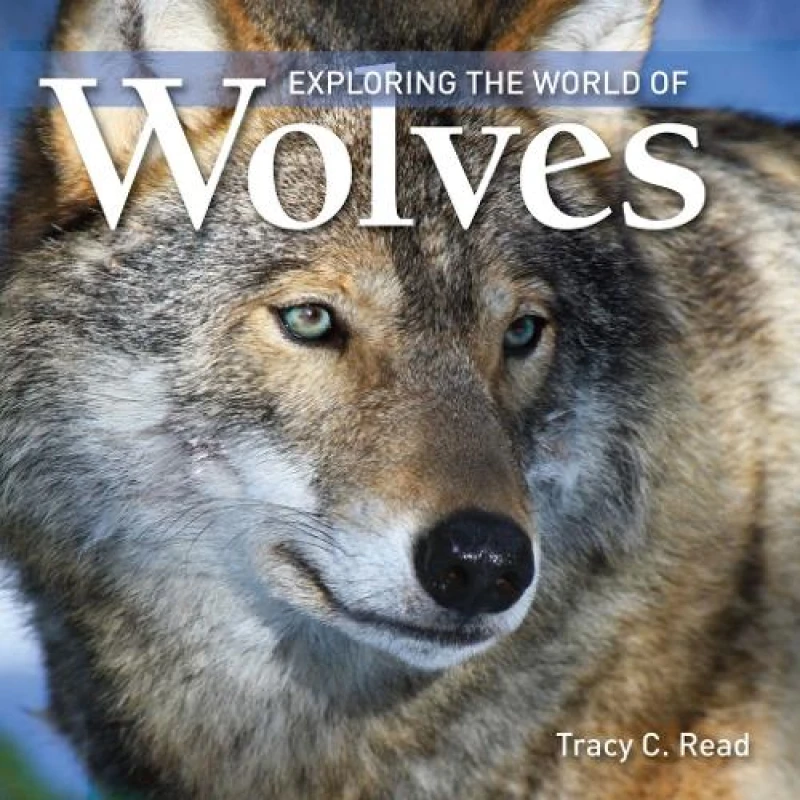 Image of Tracy C. Read Exploring the World of Wolves Book Multi unisex