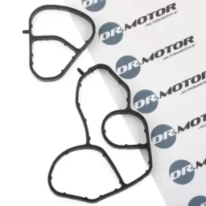 Image of DR.MOTOR AUTOMOTIVE Gaskets BMW,FORD,FIAT DRM0241 1103K1,1103S0,1145946 Seal, oil filter housing 2S6Q6A728AA,1103K1,1103S0
