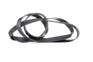Image of RIDEX V-ribbed belt MERCEDES-BENZ,OPEL,CHRYSLER 305P0102 5097758AA,XR82811,0029933096 0039937396,0119978792,0119979742,0119979792,0129973692,1340283