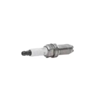 Image of CHAMPION Spark plug MULTI GROUND ELECTRODE OE262 Engine spark plug,Spark plugs PORSCHE,Cayenne (9PA),Cayenne (92A),PANAMERA,911 (997),BOXSTER (987)