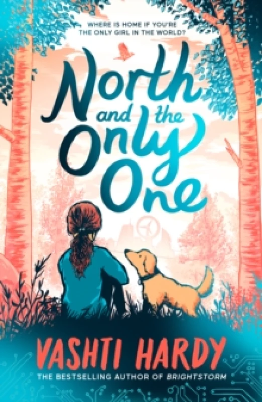 Image of North and the Only One Paperback / softback