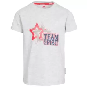 Image of Trespass Childrens Boys Awestruck Short Sleeve T-Shirt (2-3 Years) (Grey Marl)