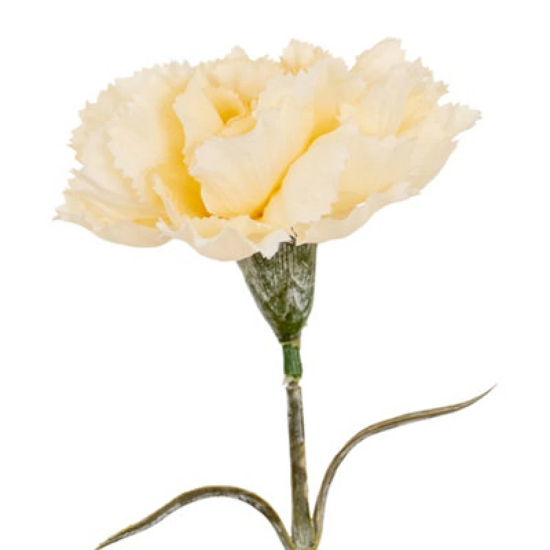 Image of Hill Interiors Carnation Artificial Flower Cream (One Size)