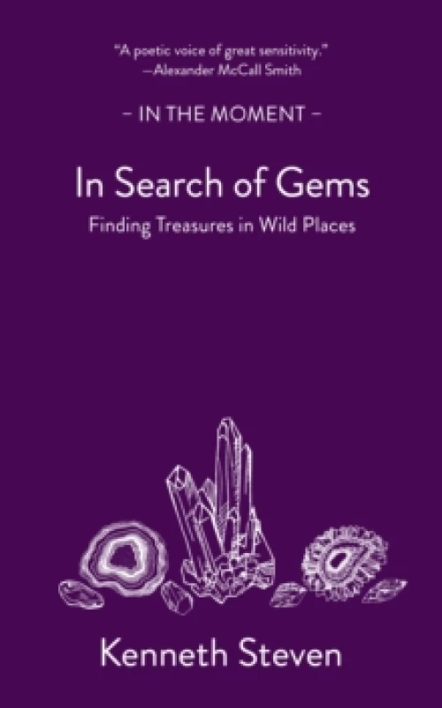 Image of In Search of Gems : Finding Treasures in Wild Places Paperback / softback