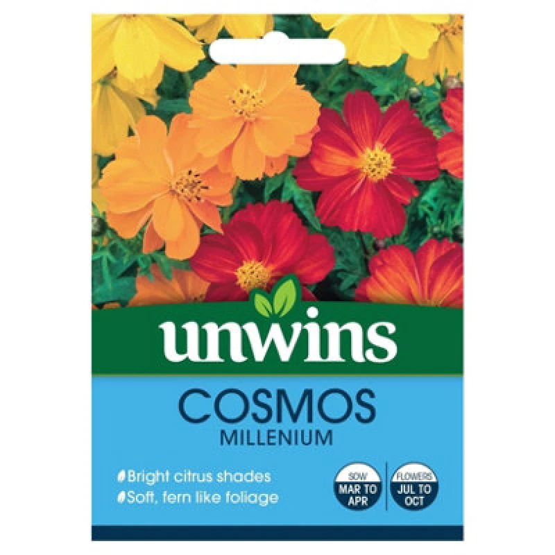 Image of Unwins Cosmos Millennium