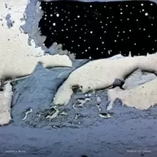 Image of Pools of Light