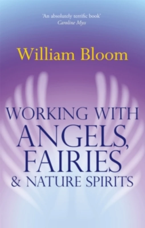 Image of Working With Angels, Fairies & Nature Spirits. Paperback. By William Bloom Books