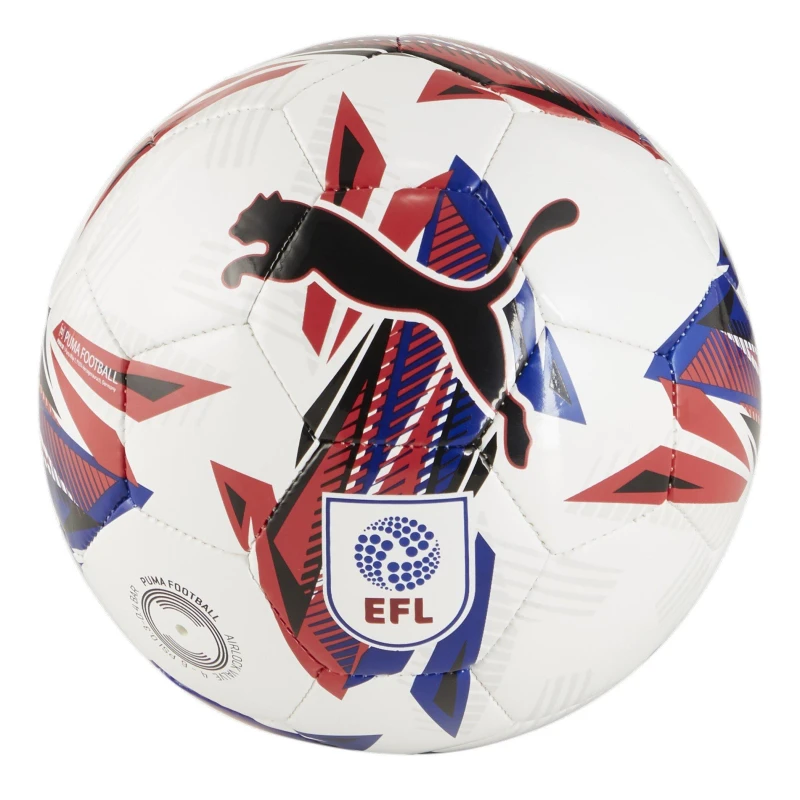 Image of Puma Orbita 6 EFL Mini Football 2024 2025 - White White Mini