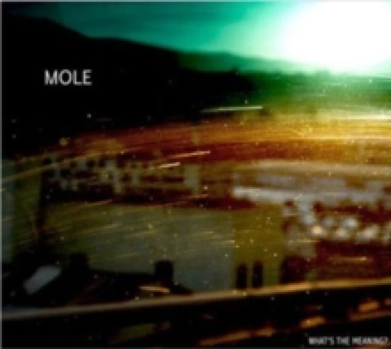 Image of Mole - What's the Meaning? (Music CD) Music CDs - Music CD