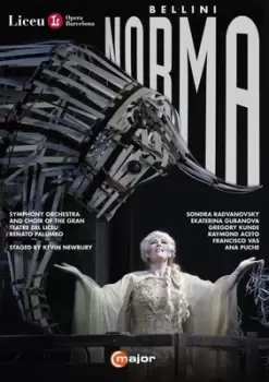 Image of Norma Gran Teatre Del Liceu Palumbo - DVD
