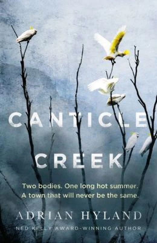 Image of Canticle Creek Paperback / softback