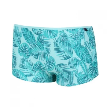 Image of Regatta Aceana Bikini Shorts - IceGreenPalm