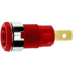 Image of Safety jack socket Socket vertical vertical Pin diameter 4mm Red