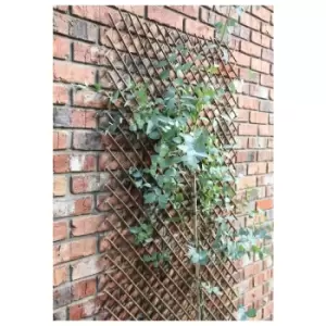 Image of Tom Chambers Expanding Willow Panel 180cm x 60cm Garden Flower Rose Trellis Support