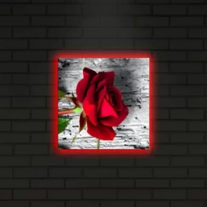 Image of 2828DACT-1 Multicolor Decorative LED Lighted Canvas Painting