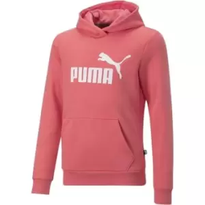 Image of Puma Logo Hoodie FL G - Pink