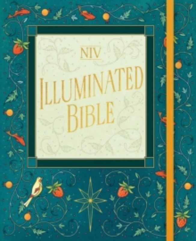 Image of NIV Illuminated Bible Hardback