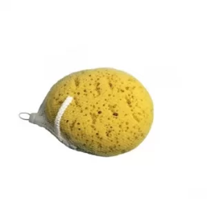 Image of Blue Canyon Body Sponge