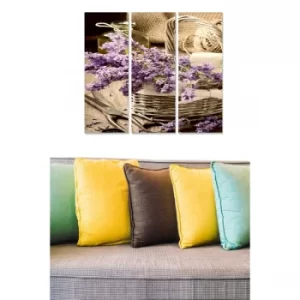 Image of MDF12672693 Multicolor Decorative MDF Painting (3 Pieces)