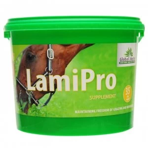 Image of Global Herbs Lami Pro Supplement