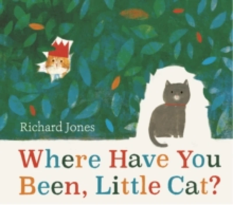 Image of Richard Jones Where Have You Been, Little Cat? Book Multi unisex